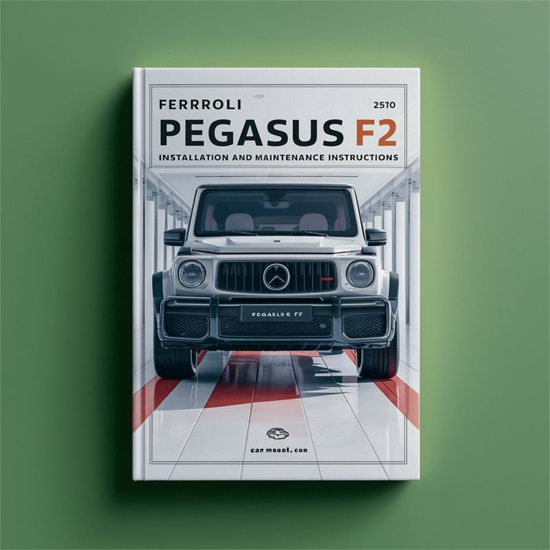 FERROLI PEGASUS F2 Installation And Maintenance Instructions