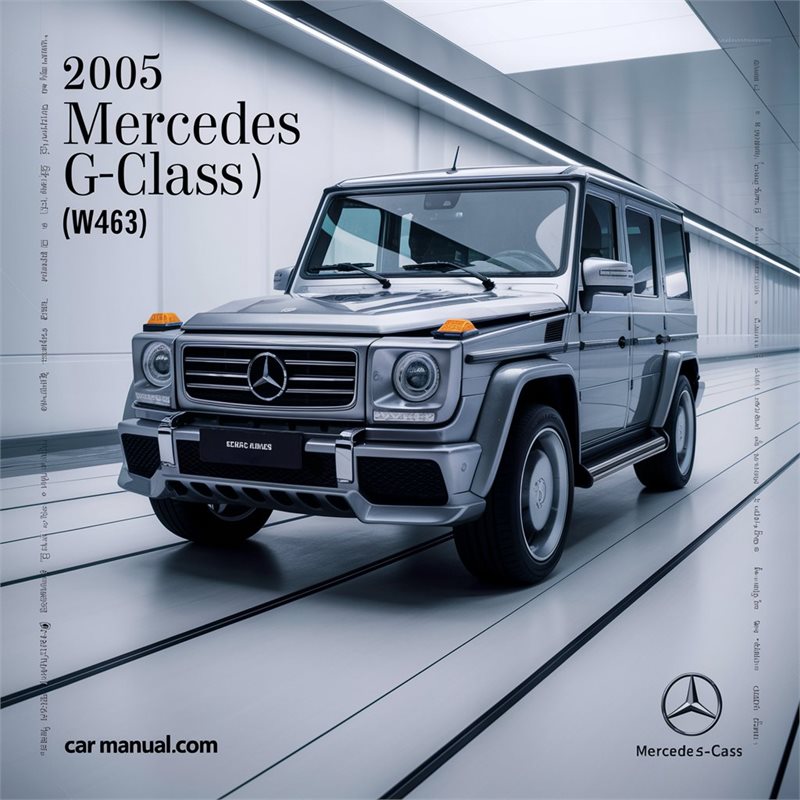 2005 Mercedes G-Class (W463) Service and Repair Manual 